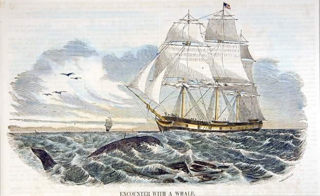Image result for whaling ships