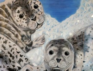 Harbor Seals