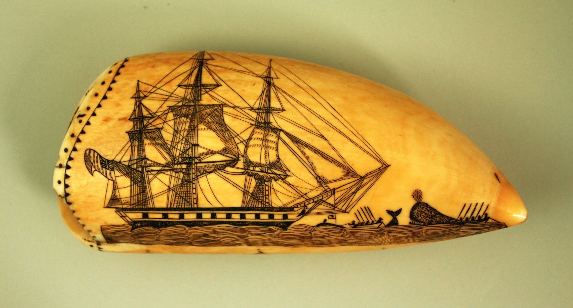 Exhibitions_OnView_Scrimshaw_Supporting Image 2
