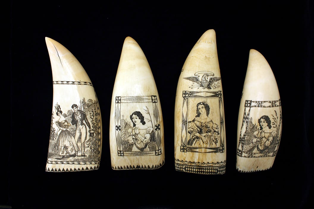 Exhibitions_OnView_Scrimshaw_Supporting Image 3