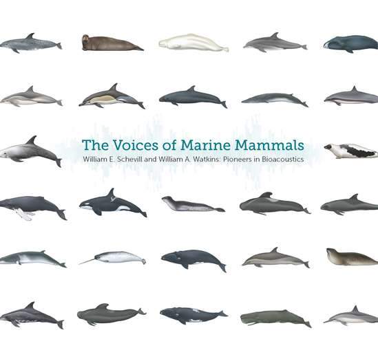 the voices of marine mammals