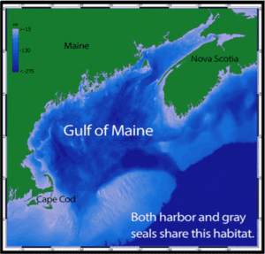 Gulf-of-Maine-map_v2-300x287
