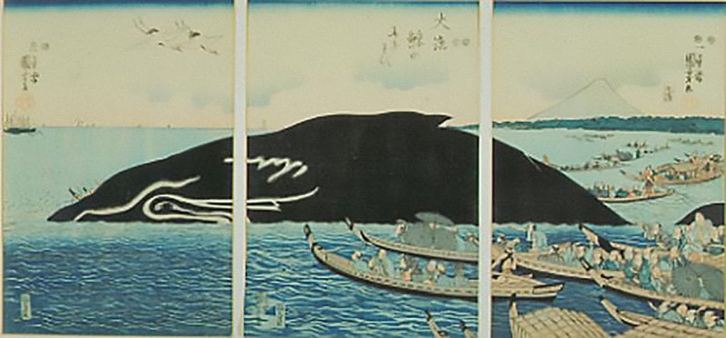 Format- Ukiyo-e triptych woodblock print on paper, triple oban. In the foreground are highly ornamented boats filled with people rowing out to view an enormous whale that is surfacing in a harbor. A pair of cranes fly overhead on the left. The locale, with Fujiyama visible in the background, is identified as Shinagawa Bay, near Edo (Tokyo). Painting is an allusion to the Shinagawa Whale of 1798