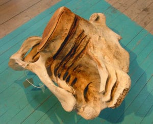 RW-Neck-Vertebrae_cc-300x243