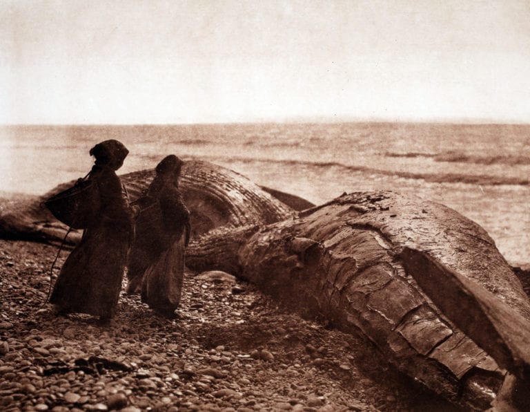 Caption: Edward Sheriff Curtis, The Captured Whale, c. 1915.

