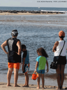 Caption: Seal watchers at the Cape Cod National Seashore.