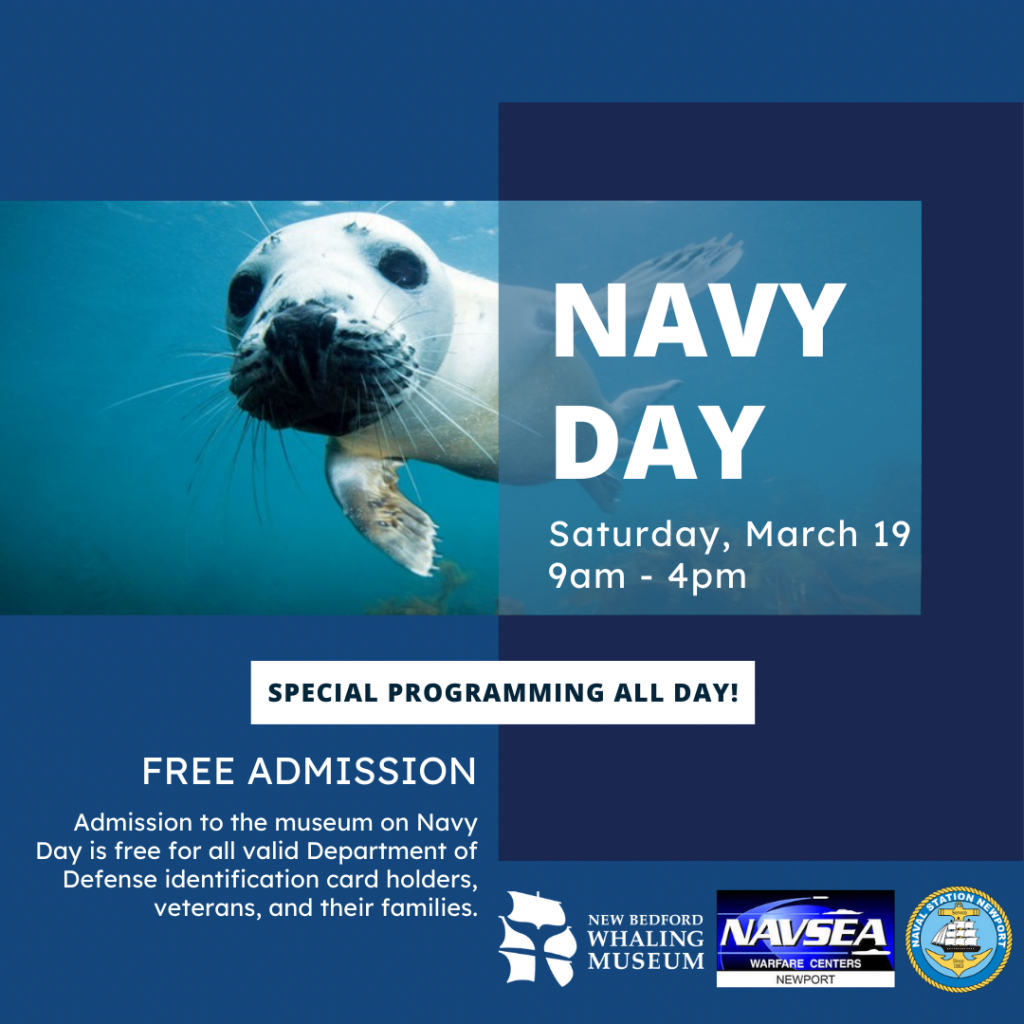 An up close shot of a seal looking at the camera underwater. There is text that reads "Navy Day Saturday, March 19. 9 AM - 4 PM. Special programming all day! Free admission to the Museum on Navy Day for all valid Department of Defense identification card holders, veterans, and their families." To the bottom left, there are the logos for Naval Station Newport and NAVSEA Warfare centers Newport.