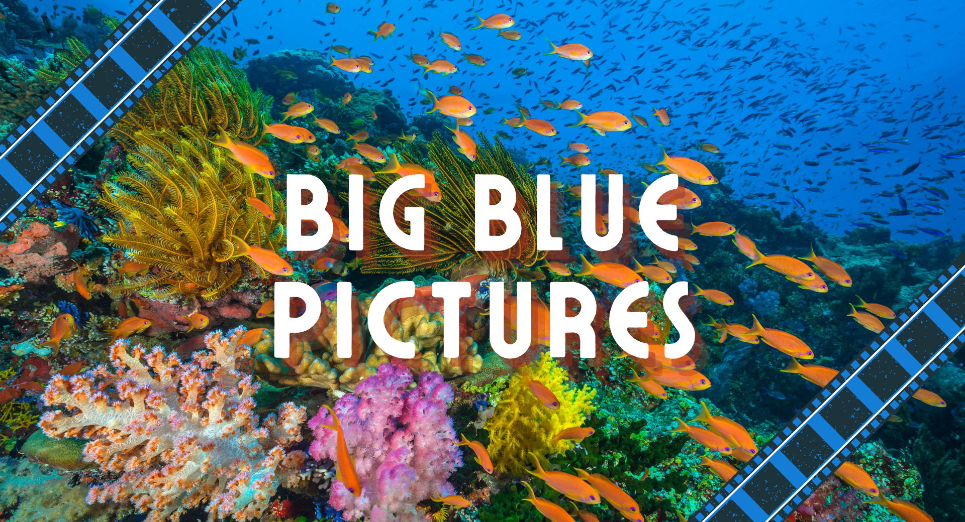A photograph of a highly saturated coral reef with schools of fish swimming in the foreground and background. There is text in the middle that reads "Big blue pictures."