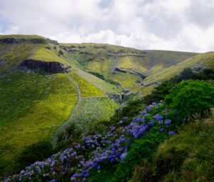 Photo of Azorean Hills