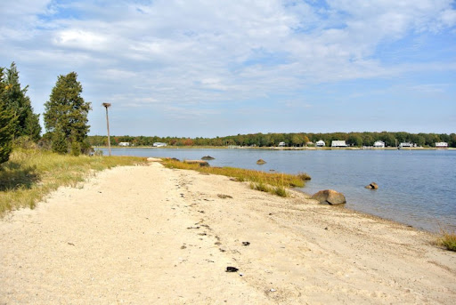 A photograph of the Buzzards Bay Walk - a landscape photograph including a beach and a populated forest on a nearby shore.