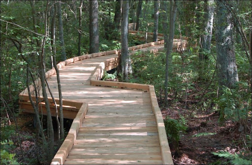 A man made wooden nature walk bridge in the forest.