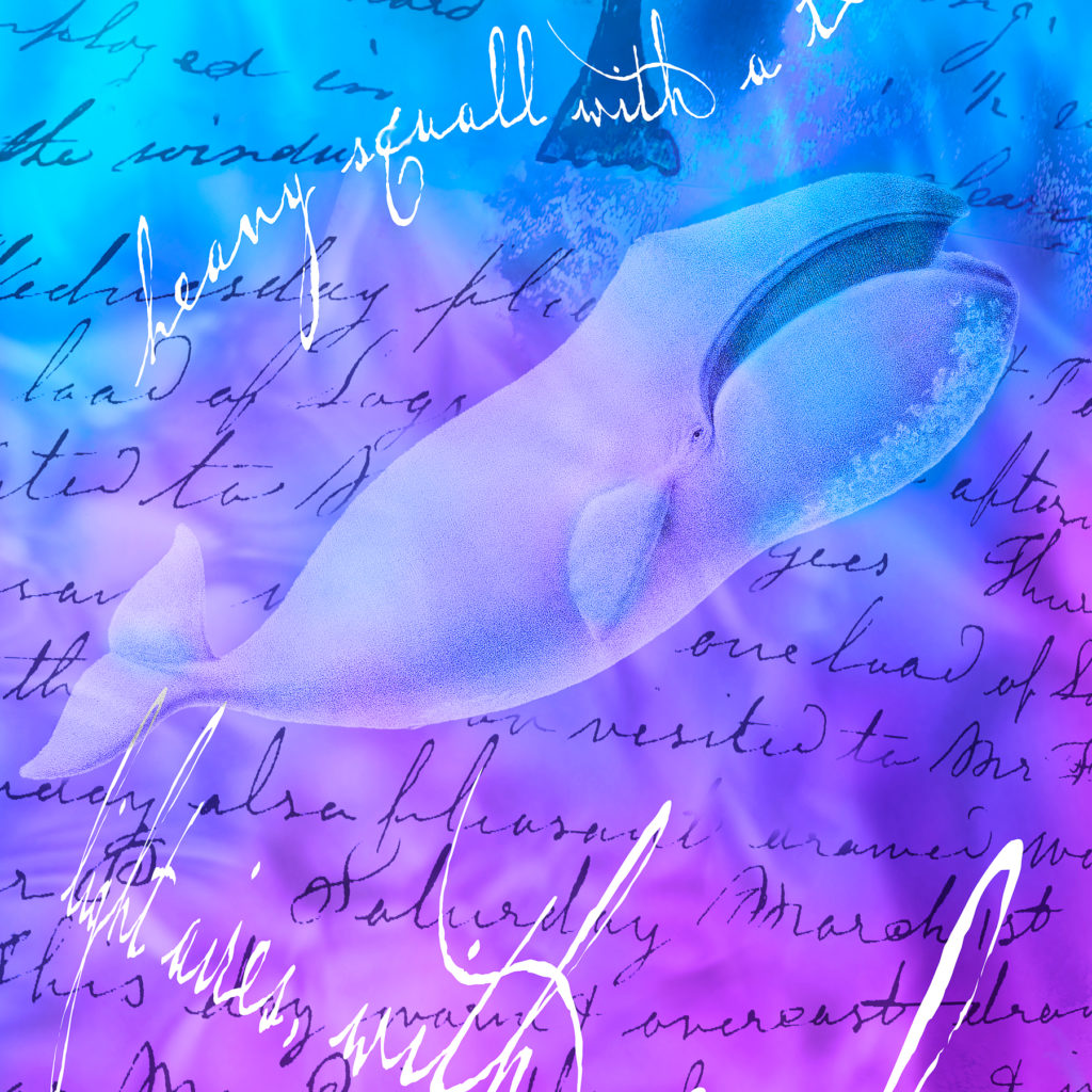 A drawing of a whale on top of blue backdrop and handwriting.