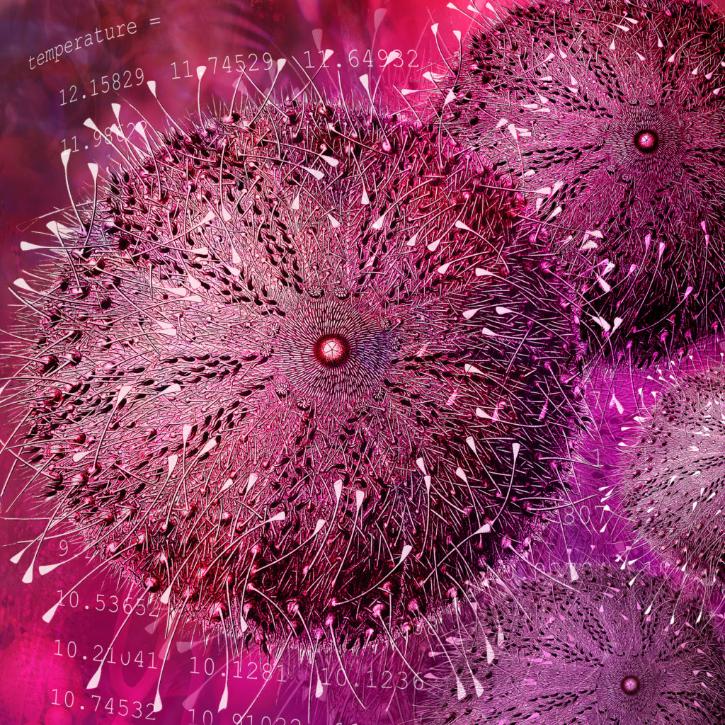 A drawing of purple sea urchins on top of a series of numbers.