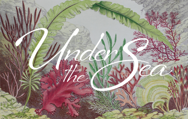 under the sea logo with background