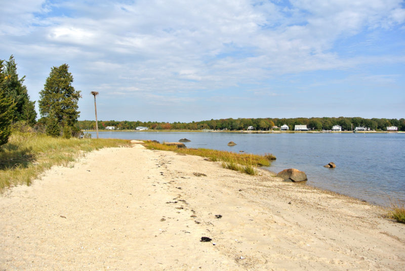 Brainard Marsh