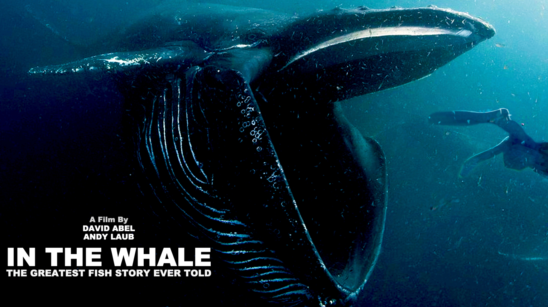in the whale - text in the whale - text