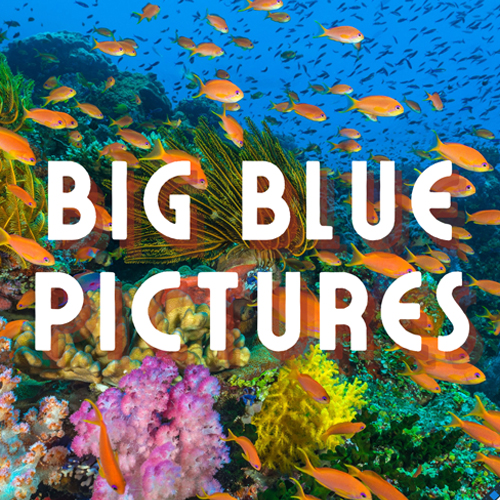 Big Blue Picture