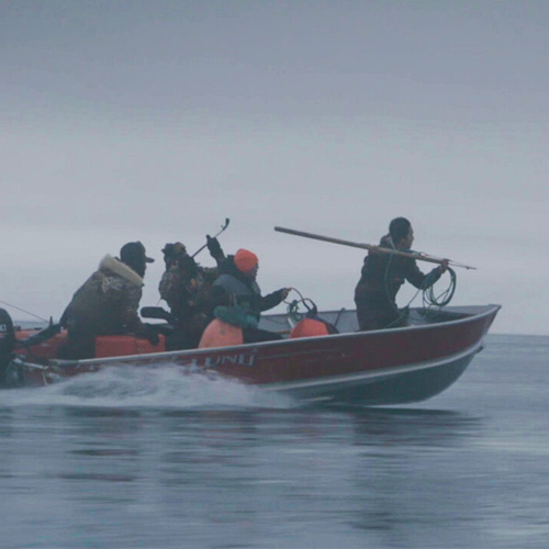 A group of people on a small motorboat in calm waters. They are dressed in outdoor gear, some with orange hats, and one person at the front of the boat is holding a long harpoon-like tool, appearing to be engaging in an action related to whaling.