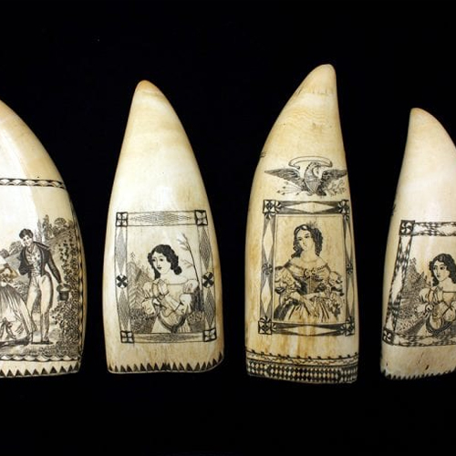 Scrimshaw Class tool Four scrimshaw whale teeth engraved with portraits of women and decorative scenes.