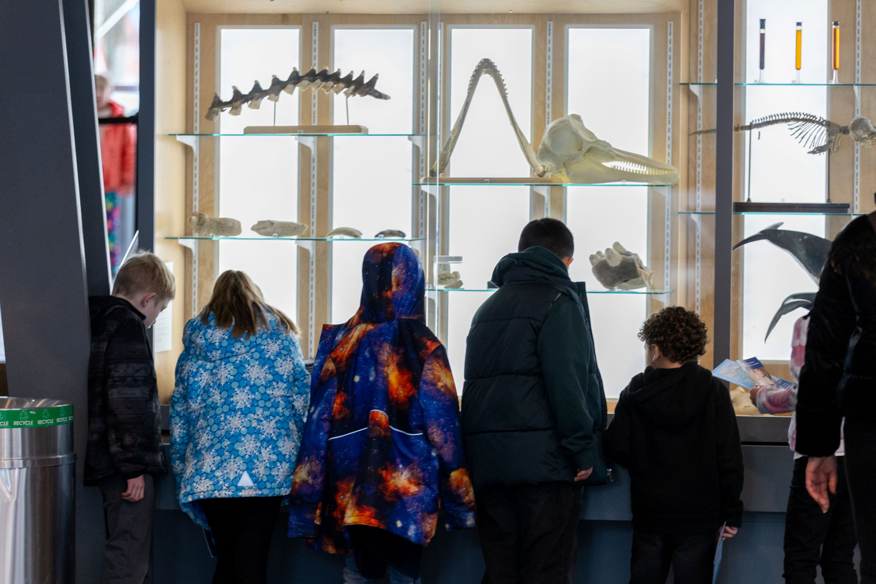 Children in coats looking at whale specimens in a case.