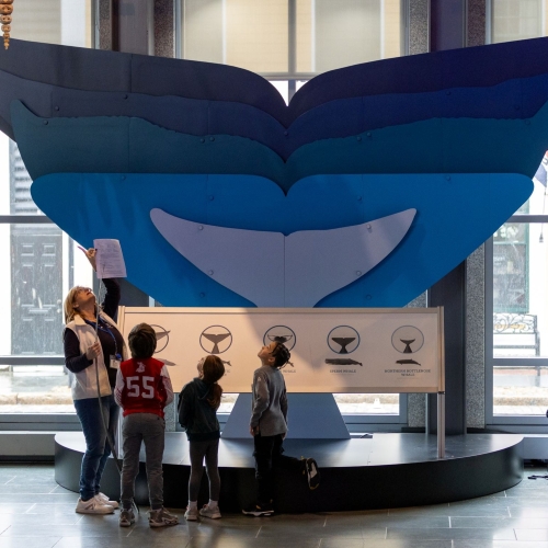Adult and students in front of whale flukes.