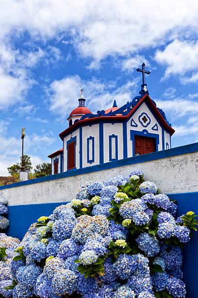 Hydrangea flowers in front of the Chapel of Monte Santo at Agua de Pau, Sao Miguel island, Azores