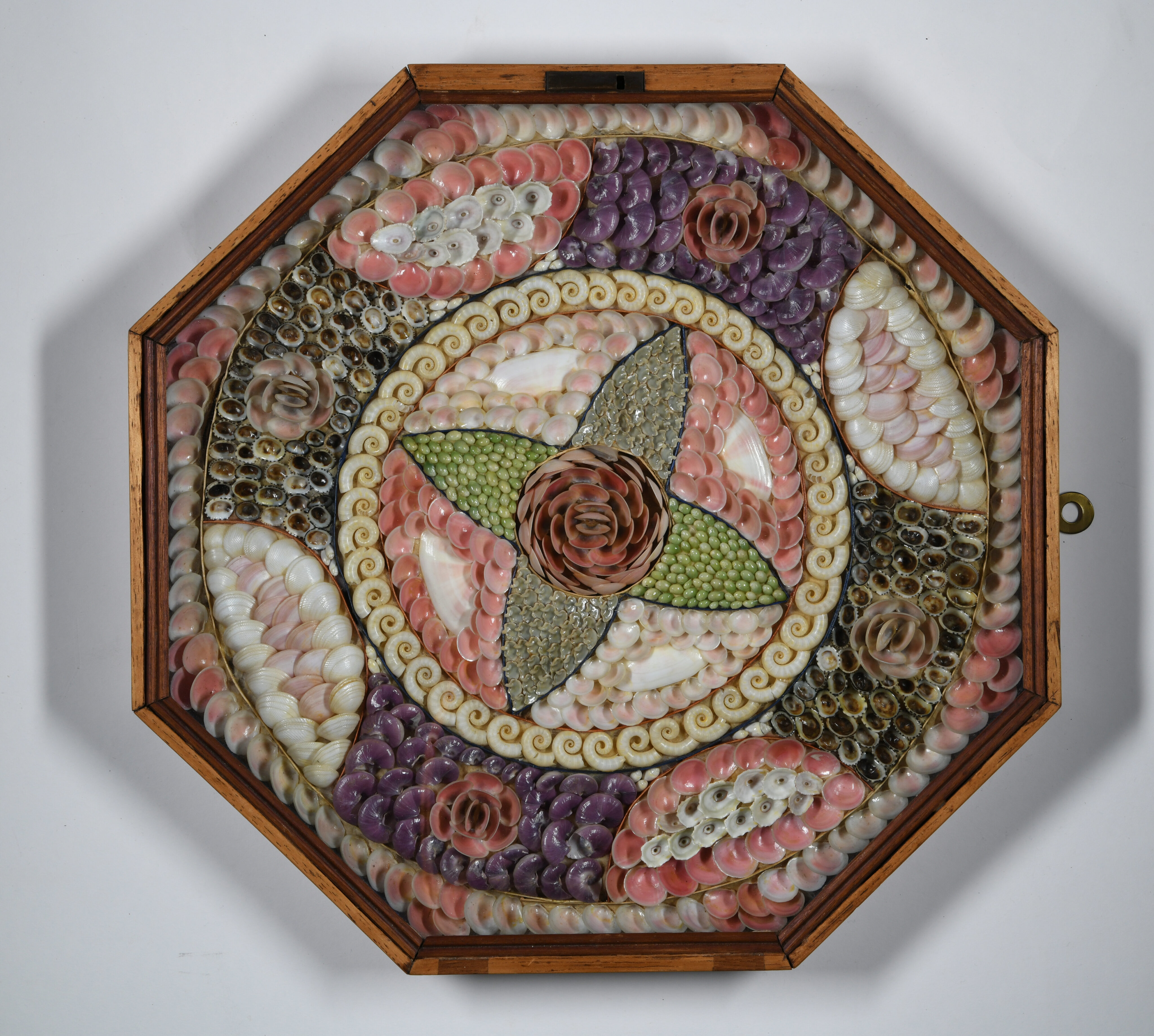 An octagonal wooden shadow box displaying a Victorian sailor's valentine. The centerpiece is a star-shaped mosaic of green, pink, and tan shells surrounding a central shell flower, all set within a circular border of spiraling white shells and surrounded by elaborate patterns of purple, pink, and white seashells.