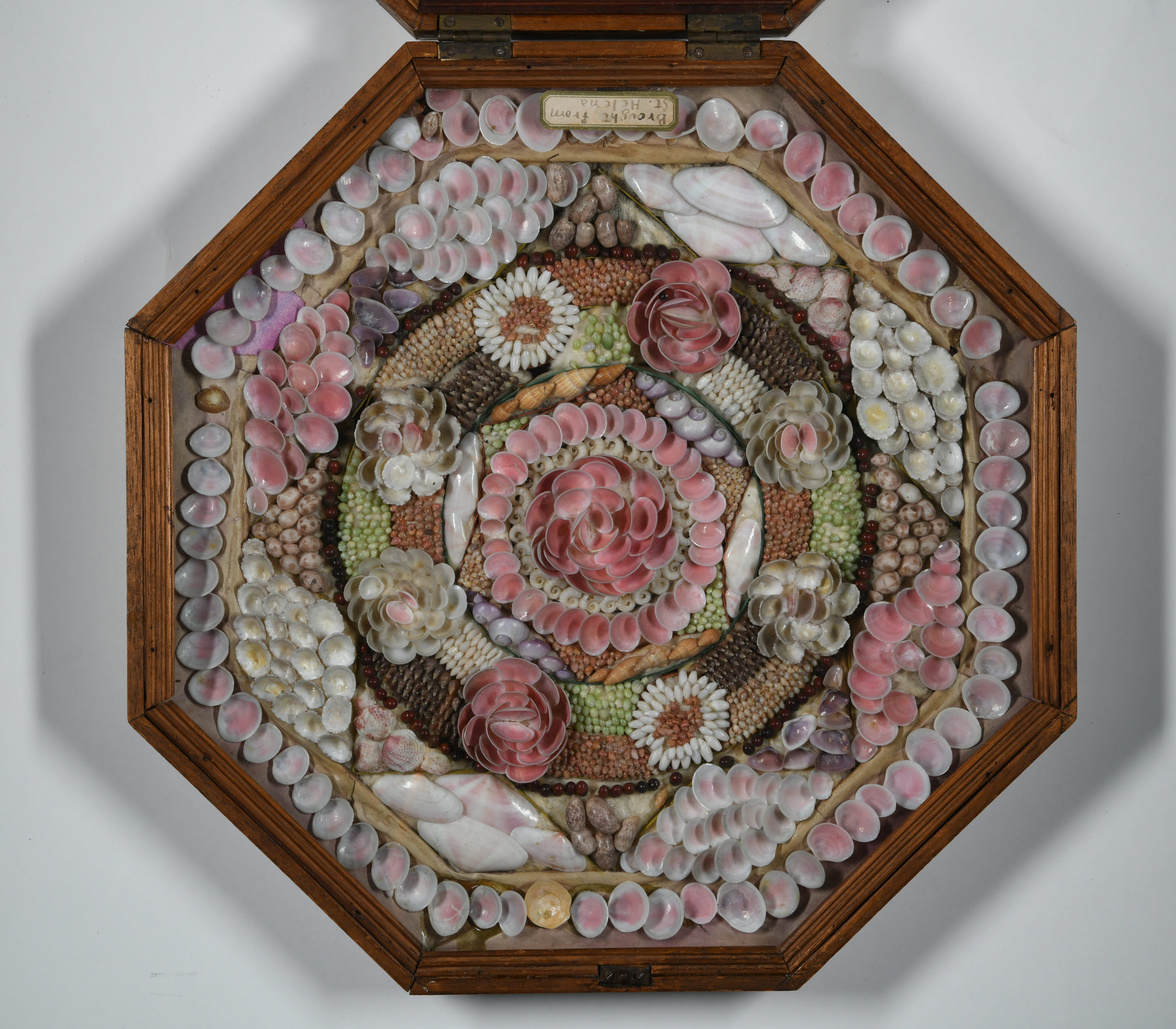 An octagonal wooden shadow box containing a Victorian sailor's valentine with a note at the top that reads, "Brought from St. Helena." The artwork features a complex, concentric mosaic of pink and white seashells arranged in floral and geometric patterns.