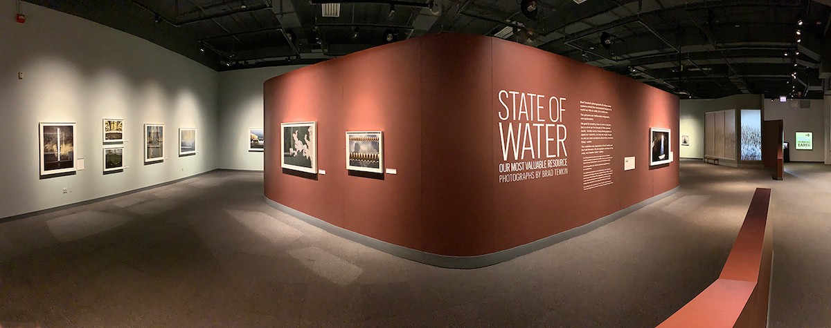 in gallery algae